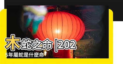 1980屬什麼生肖|【1980 生肖 屬性】1980年屬猴五行屬什麼？命運如何？